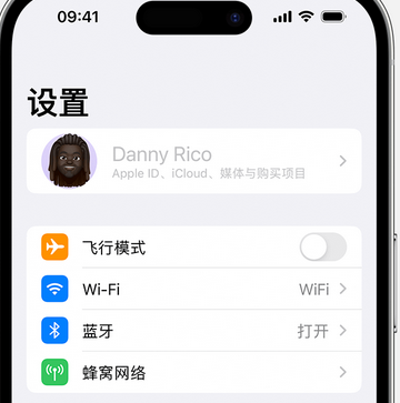 雁峰appleID维修服务iPhone设置中Apple ID显示为灰色无法使用 