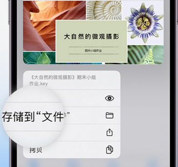 雁峰apple维修中心分享iPhone文件应用中存储和找到下载文件