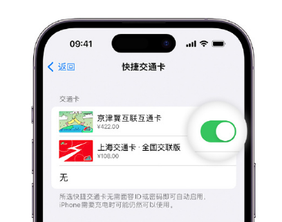 雁峰apple维修点分享iPhone上更换Apple Pay快捷交通卡手绘卡面 