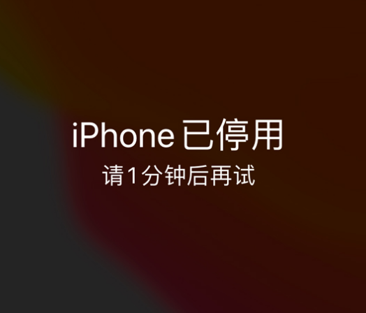 雁峰苹果手机维修分享:iPhone 显示“不可用”或“已停用”怎么办？还能保留数据吗？ 