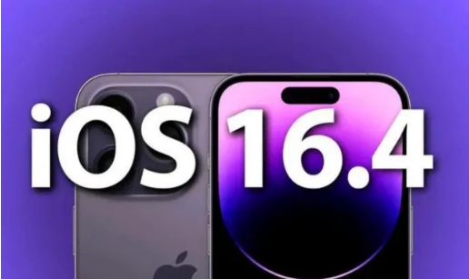 雁峰苹果14维修分享：iPhone14可以升级iOS16.4beta2吗？ 