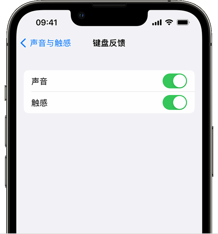 雁峰苹果14维修店分享如何在 iPhone 14 机型中使用触感键盘 