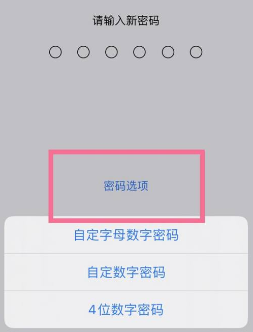 雁峰苹果14维修分享iPhone 14plus设置密码的方法 