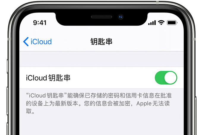 雁峰苹果手机维修分享在 iPhone 上开启 iCloud 钥匙串之后会储存哪些信息 