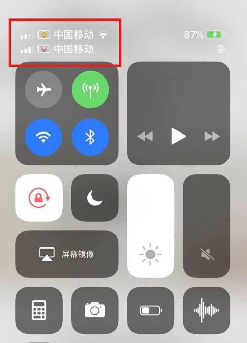 雁峰苹果手机维修分享为 iPhone 12 双卡设置标签 