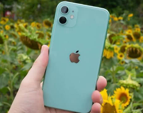 雁峰苹果维修点分享iPhone 11锁屏密码认知与使用科普 